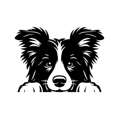 PeekaPup Border Collie Car Decals