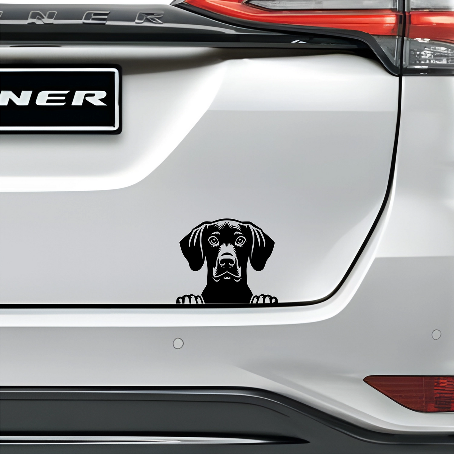PeekaPup Pointer Car Decals