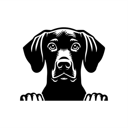 PeekaPup Pointer Car Decals
