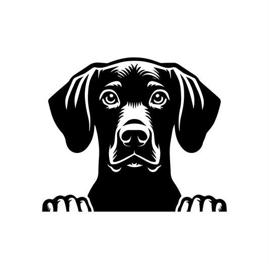 PeekaPup Pointer Car Decals