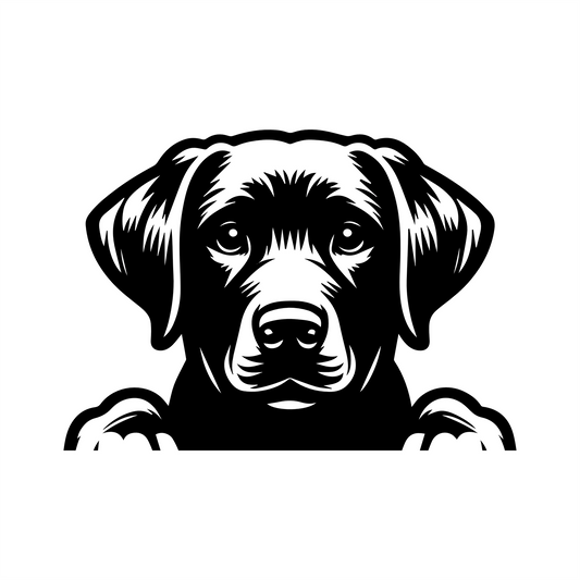PeekaPup Labrador Retriever Car Decals