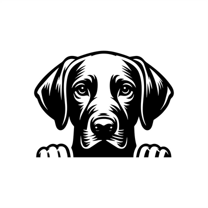 PeekaPup Vizsla Car Decals
