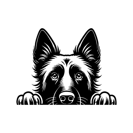 PeekaPup Belgian Malinois Car Decals