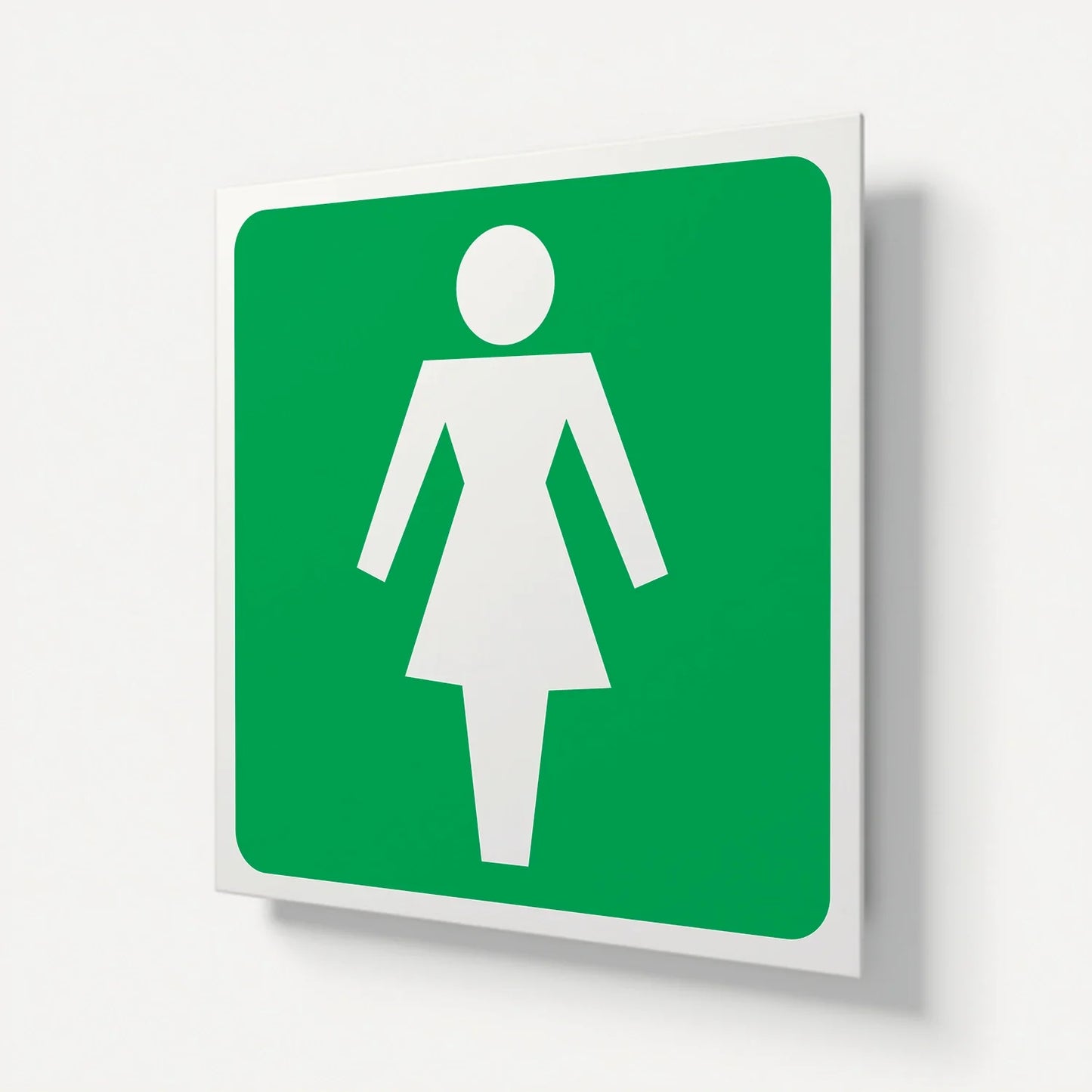 "Ladies Toilet" Safety Signage Panel