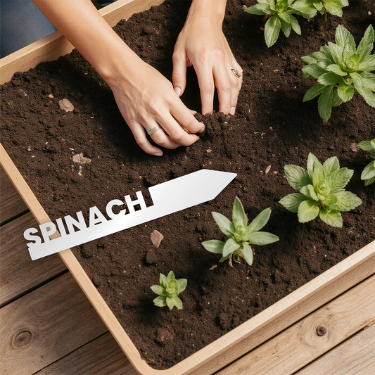 "Spinach" Garden Acrylic Grow Tag