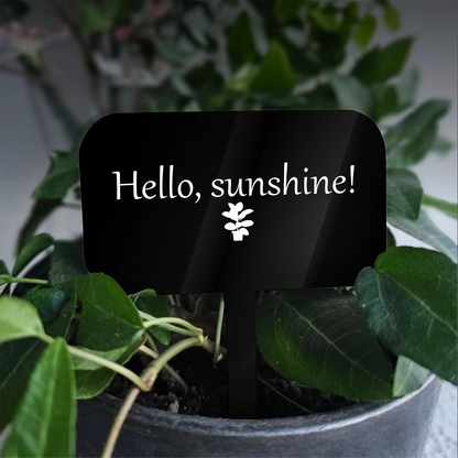 "Hello sunshine" Acrylic Plant Marker