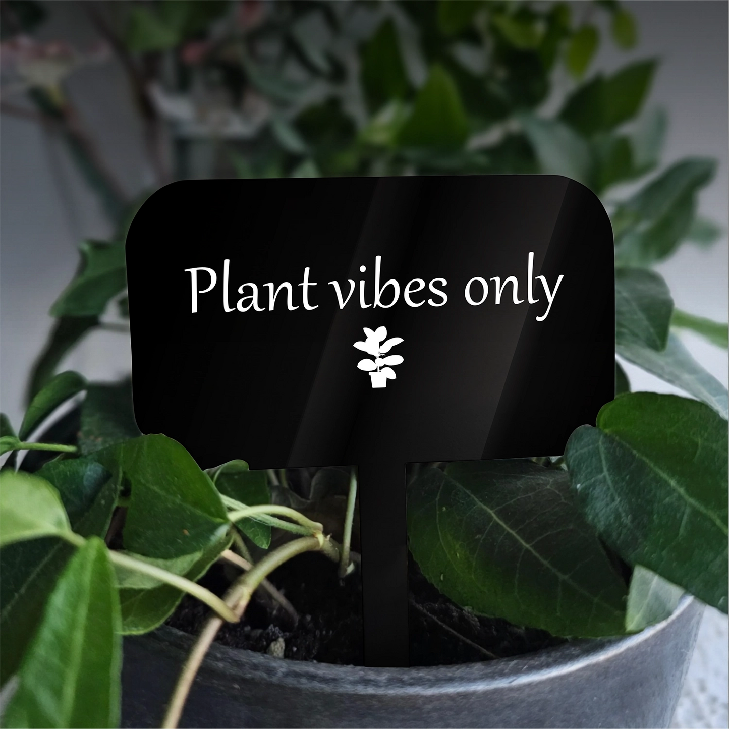 "Plant Vibes" Acrylic Plant Marker