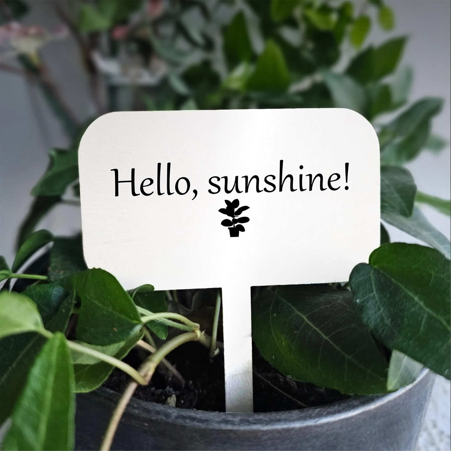 "Hello sunshine" Acrylic Plant Marker