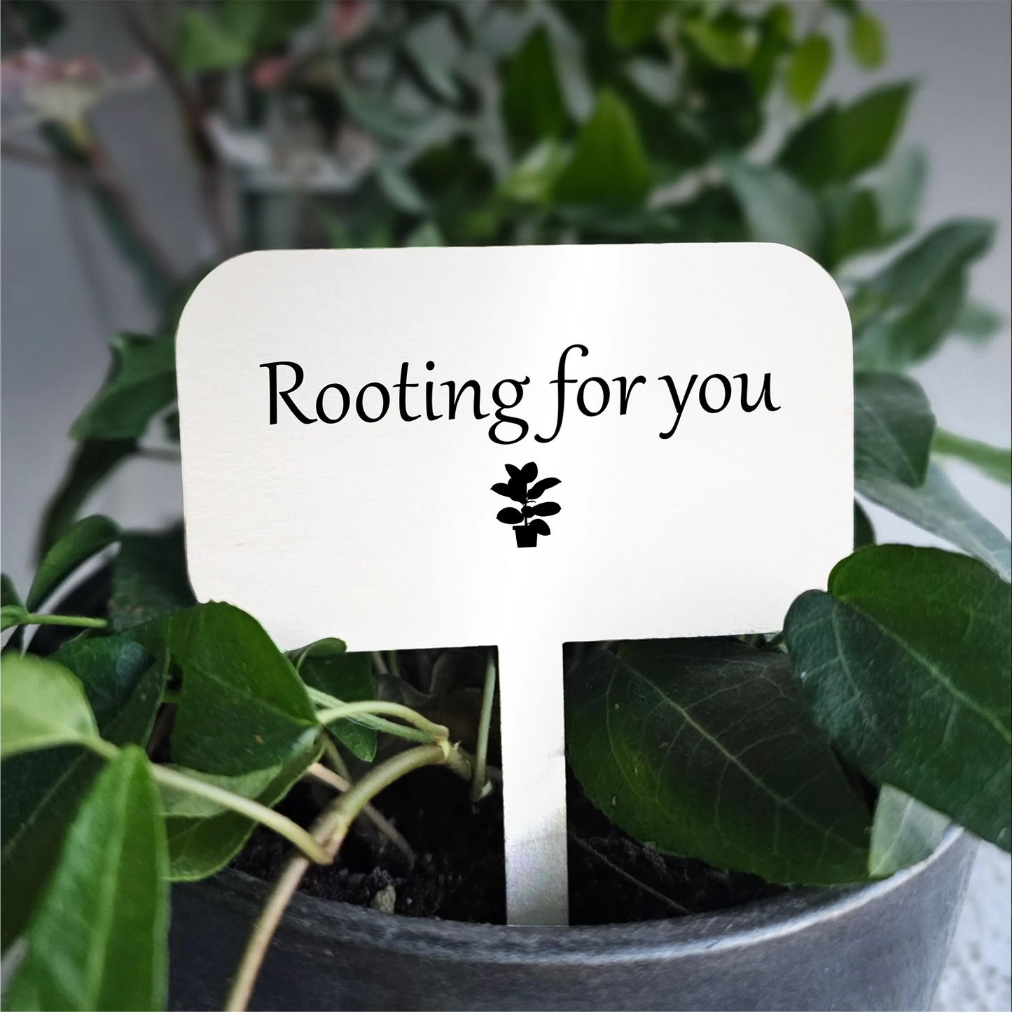 "Rooting for you" Acrylic Plant Marker