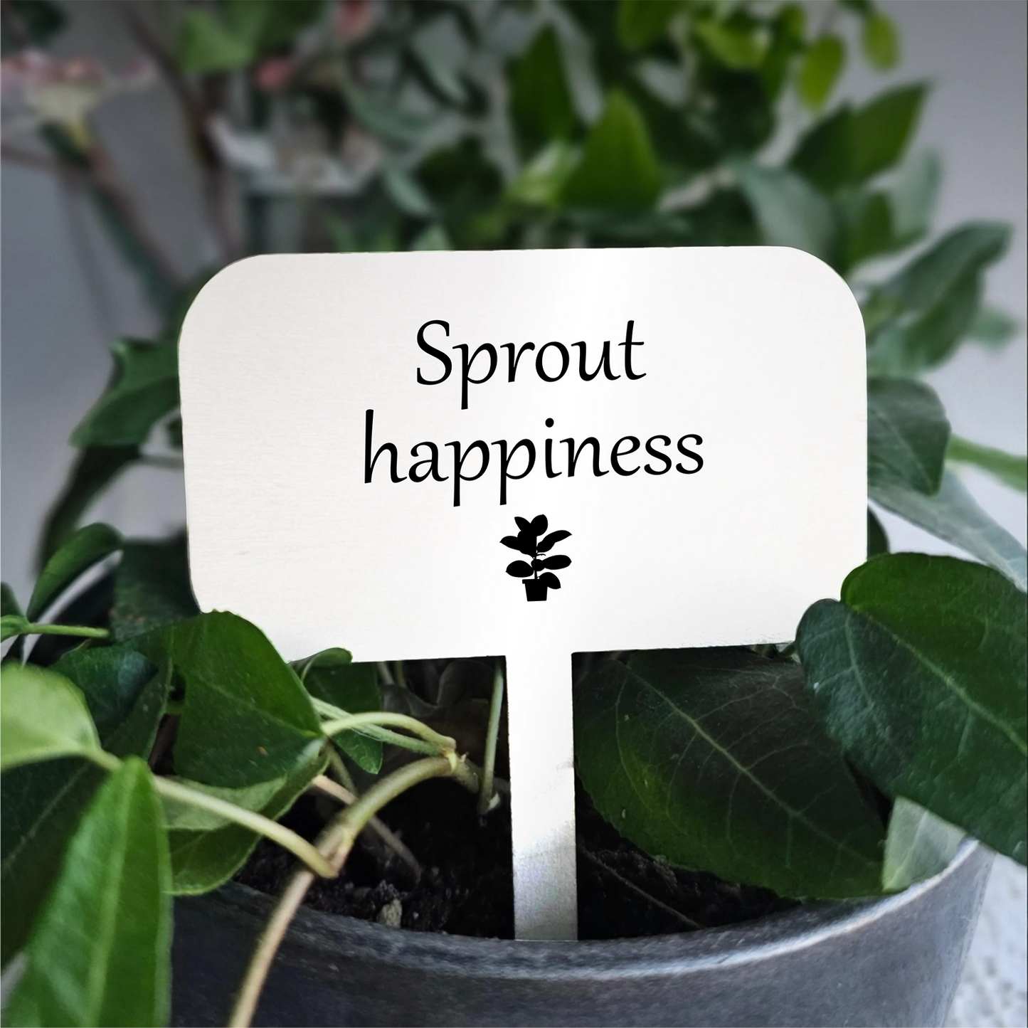 "Sprout Happiness" Acrylic Plant Marker