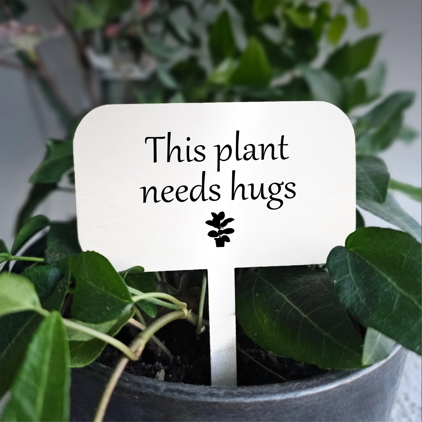"Plant Hugs" Acrylic Plant Marker