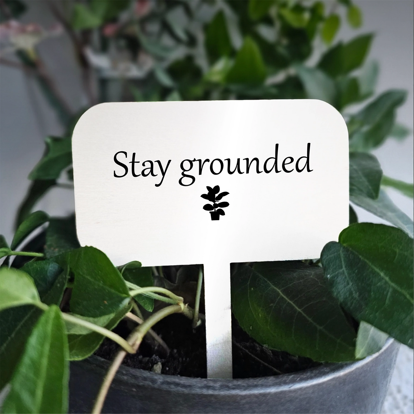 "Stay grounded" Acrylic Plant Marker