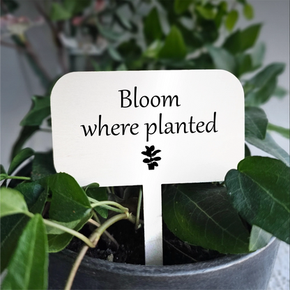 "Bloom" Acrylic Plant Marker