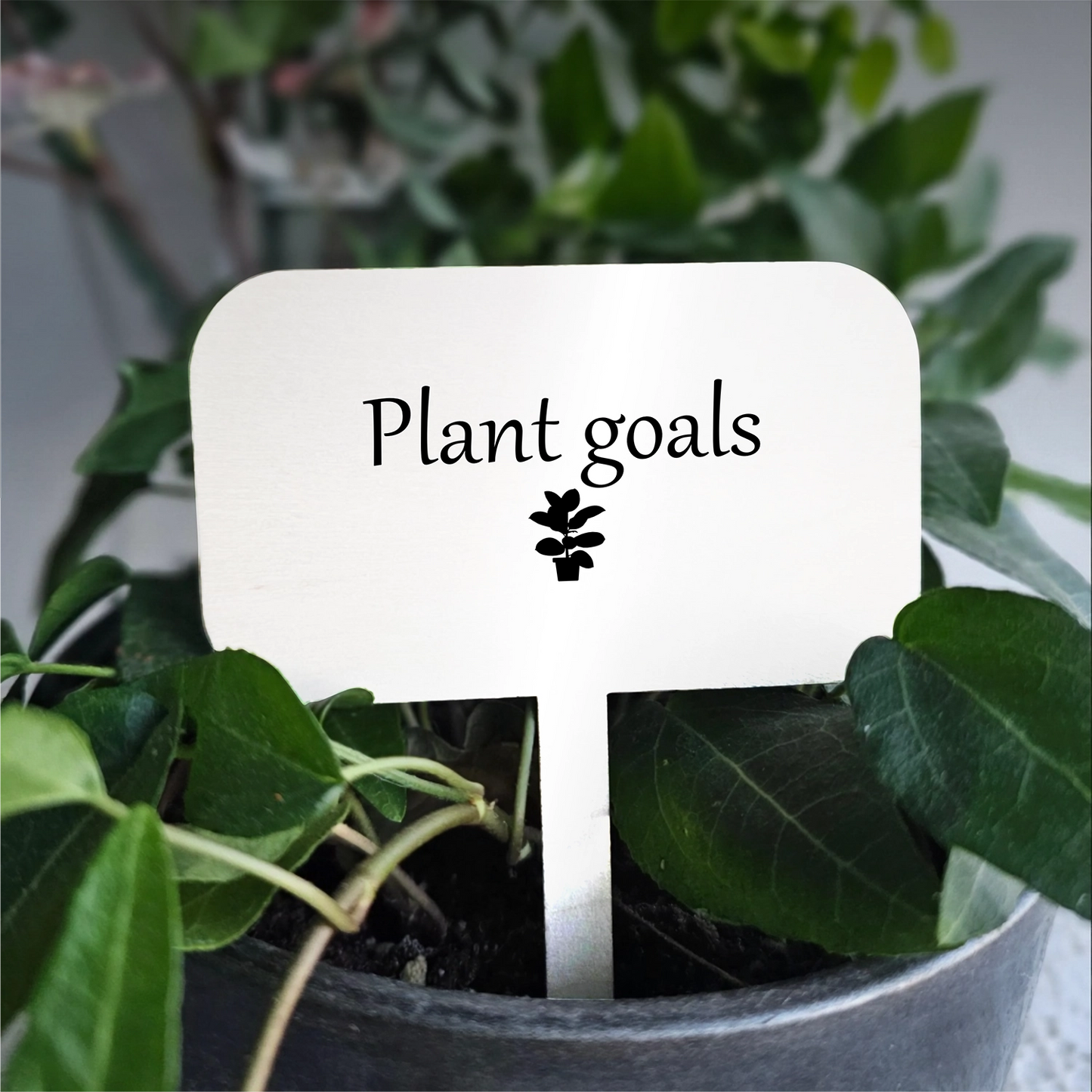 "Plant goals" Acrylic Plant Marker