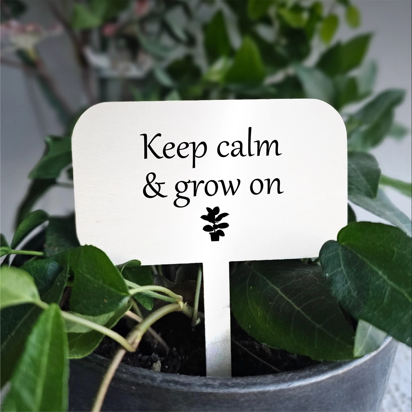 "Grow on" Acrylic Plant Marker