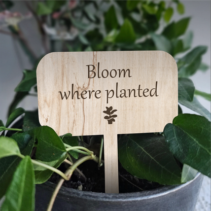 "Bloom" Plant Marker (Wood Texture)